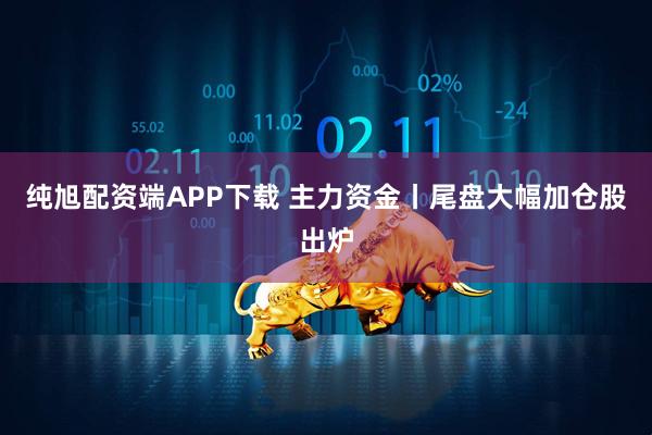 纯旭配资端APP下载 主力资金丨尾盘大幅加仓股出炉